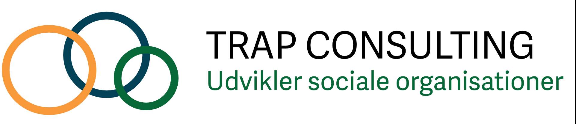 Skærmbillede 2024-11-22 132303